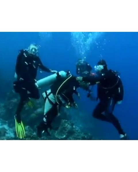 Comfort Carrier Patient Lift Sling for Wheelchair to Aircraft Transfers & Evacuation - FREE WORLDWIDE SHIPPING! - Inclusive Inc